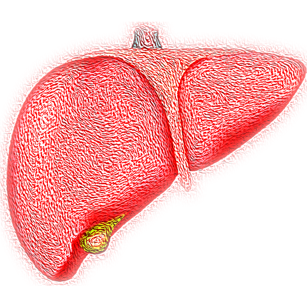 hepatitis life threatening