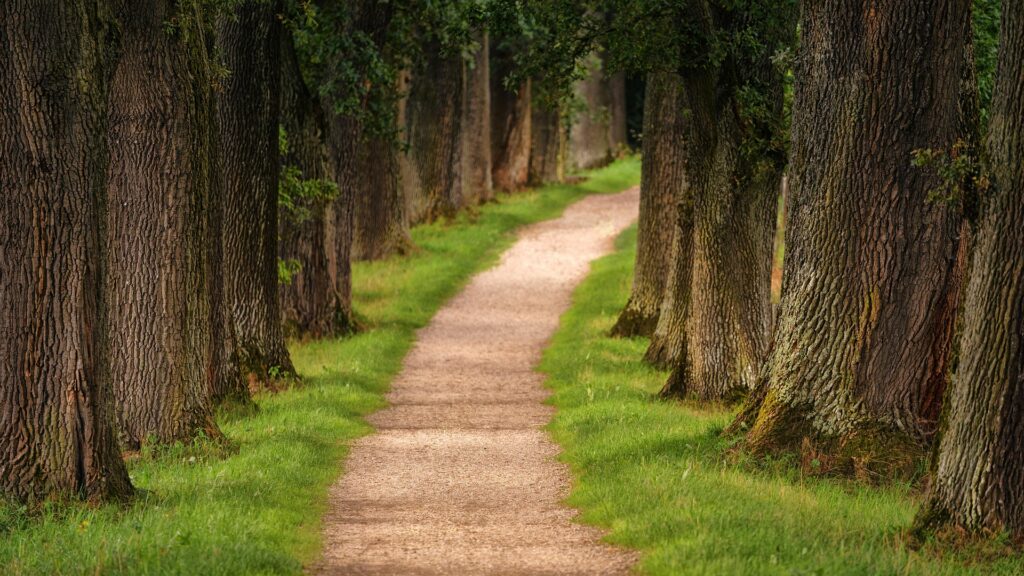 path