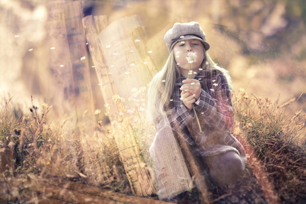 dreams