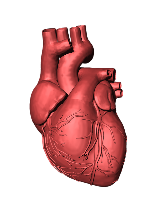 These 10 reasons can become enemies of your heart.