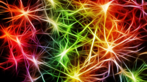 nerve